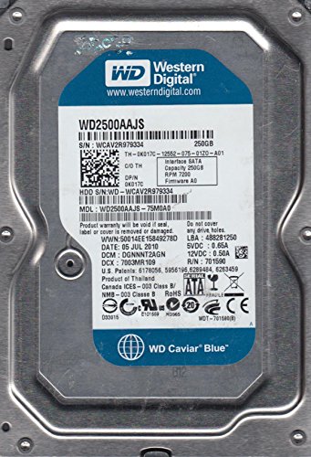 Western Digital Caviar Blue 250 GB 3.5" 7200 RPM Internal Hard Drive