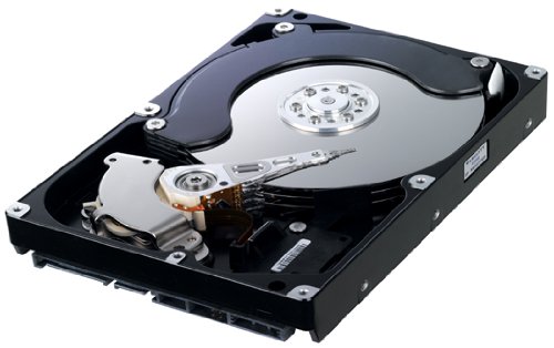 Samsung Spinpoint F1 DT 1 TB 3.5" 7200 RPM Internal Hard Drive