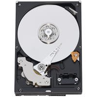 Western Digital RE2-GP 750 GB 3.5" 7200 RPM Internal Hard Drive